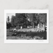 Camp Sherman, uitzicht Oregon van Rogers Cabins Briefkaart (Voorkant)