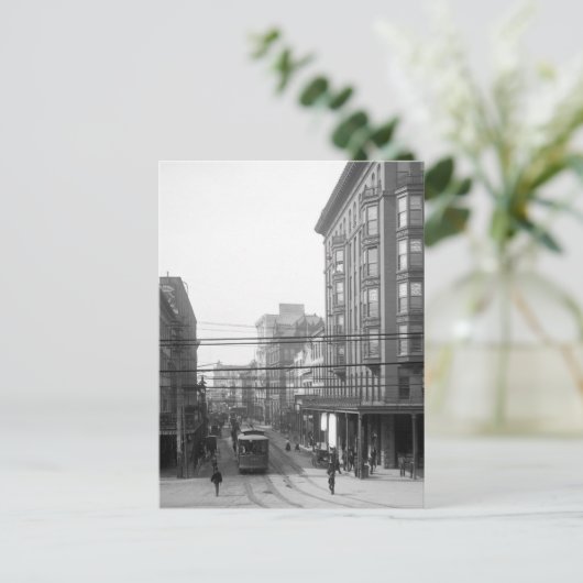 Camp Street, New Orleans: 1906 Briefkaart (Staand voorkant)