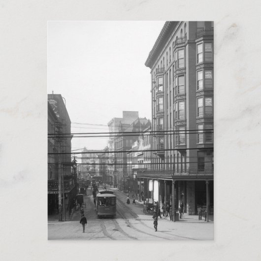 Camp Street, New Orleans: 1906 Briefkaart (Voorkant)