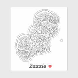 Campamalia Mushroom Sticker