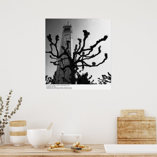 Campanile from Plaza, UC Berkeley, 1964 Poster (Keuken)