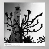 Campanile from Plaza, UC Berkeley, 1964 Poster (Voorkant)