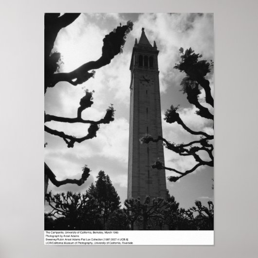 Campanile, UC Berkeley, 1965 Poster (Voorkant)