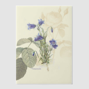 Campanula Bluebell Botanical Overlay Vellum Uitnodigingen