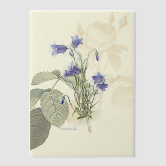 Campanula Bluebell Botanical Overlay Vellum Uitnodigingen (Voorkant)