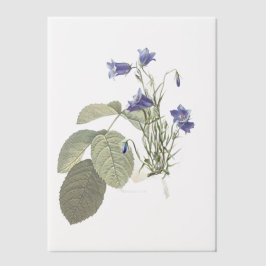 Campanula Bluebell Botanical Overlay Vellum Uitnodigingen (Voorkant)