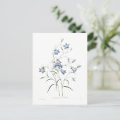 Campanula clochette briefkaart (Staand voorkant)