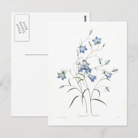 Campanula clochette briefkaart (Voorkant / Achterkant)