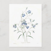 Campanula clochette briefkaart (Voorkant)