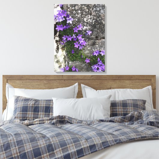 Campanula Flowers die op een muur groeien Canvas Afdruk (Insitu (Slaapkamer))