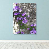 Campanula Flowers die op een muur groeien Canvas Afdruk (Insitu (Houten vloer))