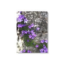 Campanula Flowers die op een muur groeien