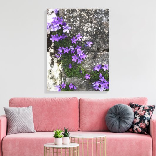 Campanula Flowers die op een muur groeien Canvas Afdruk (Insitu (Woonkamer))
