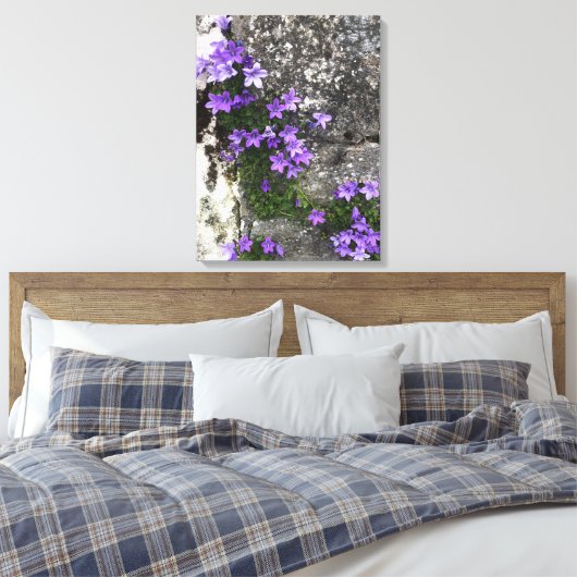 Campanula Flowers die op een muur groeien Canvas Afdruk (Insitu (Slaapkamer))