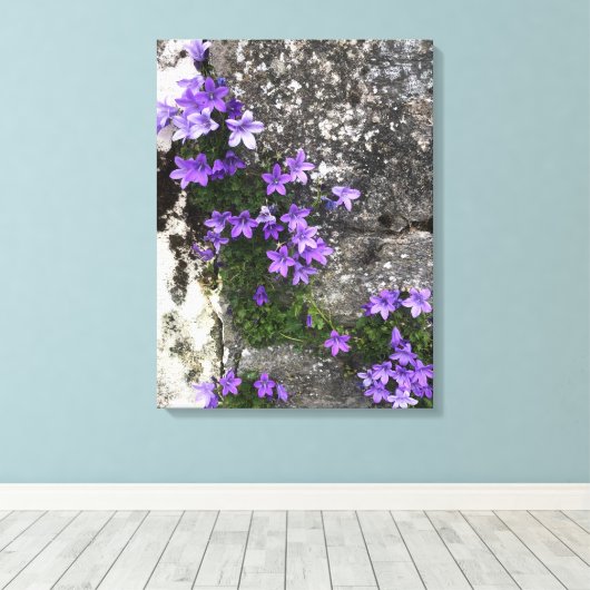 Campanula Flowers die op een muur groeien Canvas Afdruk (Insitu (Houten vloer))