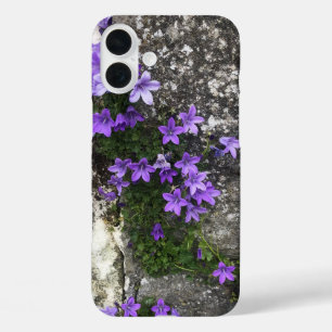 Campanula Flowers die op een muur groeien iPhone 16 Plus Hoesje
