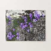 Campanula Flowers die op een muur groeien Legpuzzel (Horizontaal)