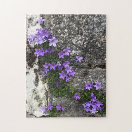 Campanula Flowers die op een muur groeien Legpuzzel