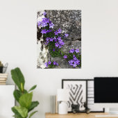 Campanula Flowers die op een muur groeien Poster (Thuiskantoor)
