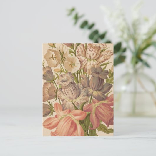 Campanula | George Nicholson Briefkaart (Staand voorkant)