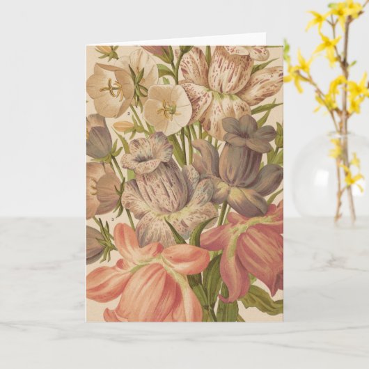 Campanula | George Nicholson Kaart (Gele Bloem)