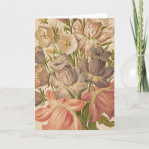 Campanula   George Nicholson Kaart