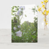 Campanula Kaart (Gele Bloem)