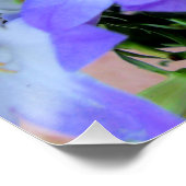 Campanula Paarse witte bloemen Foto Perfect Poster (Hoek)