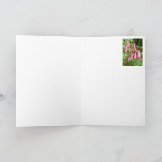 Campanula takesimana notecard kaart (Binnen)