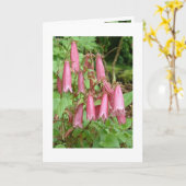 Campanula takesimana notecard kaart (Gele Bloem)