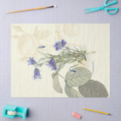Campanula tissuepapier (Craft)