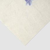 Campanula tissuepapier (Detail)