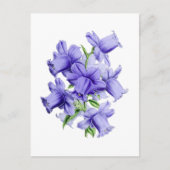 Campanula Vintage Botanical Postcard Briefkaart (Voorkant)