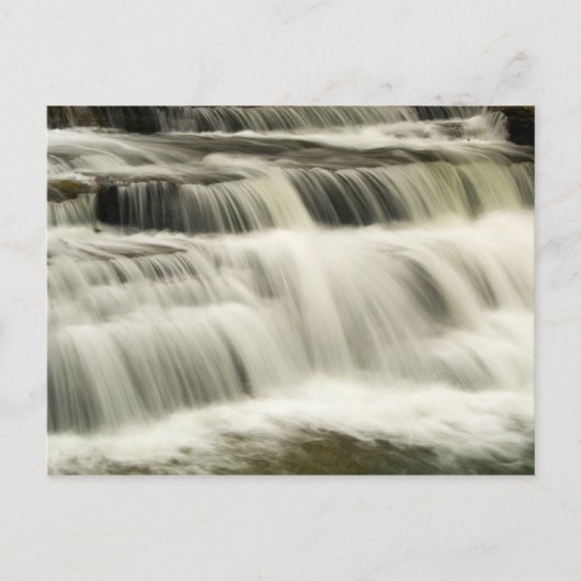 Campbell Herfsten, West Virginia Briefkaart (Voorkant)