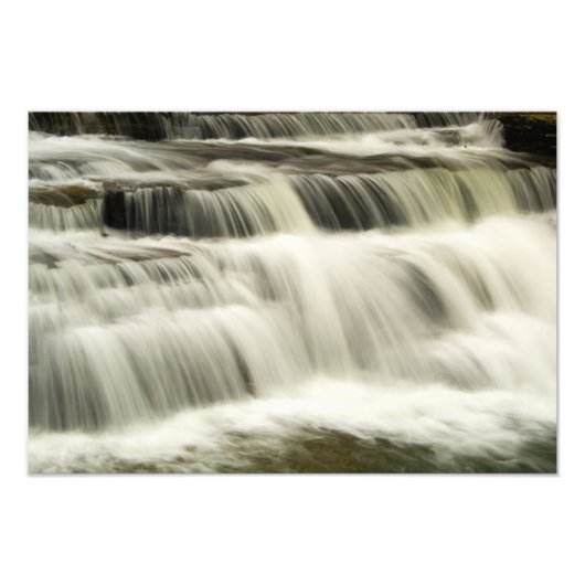 Campbell Herfsten, West Virginia Foto Afdruk (Voorkant)