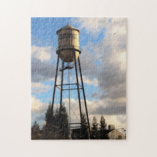 Campbell Water Tower 16x20 Puzzle Legpuzzel (Verticaal)