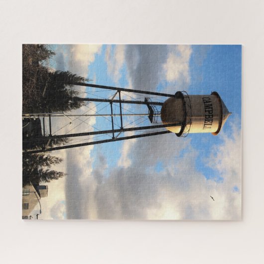 Campbell Water Tower 16x20 Puzzle Legpuzzel (Horizontaal)