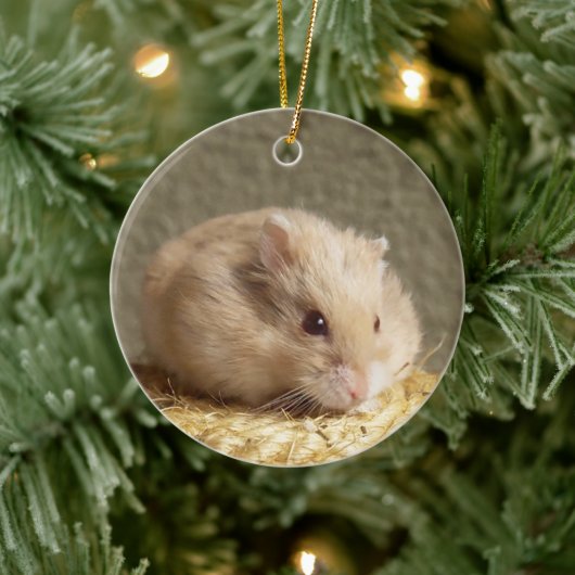 Campbells Dwarf Russische Hamster Keramisch Ornament (Boom)