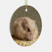 Campbells Dwarf Russische Hamster Keramisch Ornament (Rechts)