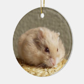 Campbells Dwarf Russische Hamster Keramisch Ornament (Links)