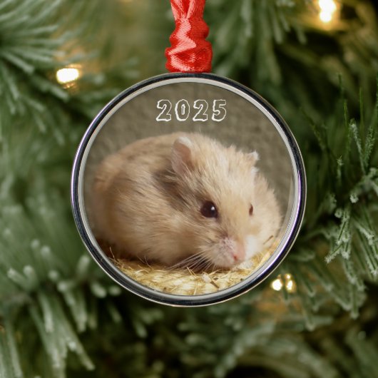 Campbells Dwarf Russische Hamster Metalen Ornament (Boom)