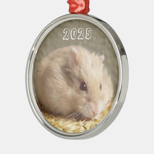 Campbells Dwarf Russische Hamster Metalen Ornament (Links)