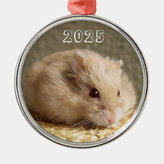 Campbells Dwarf Russische Hamster Metalen Ornament (Voorkant)
