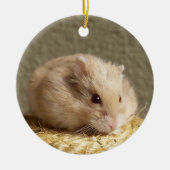 Campbells Dwerg Russische Hamster Keramisch Ornament (Voorkant)
