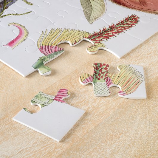 Campbell's Magnolia Legpuzzel (Zijkant)