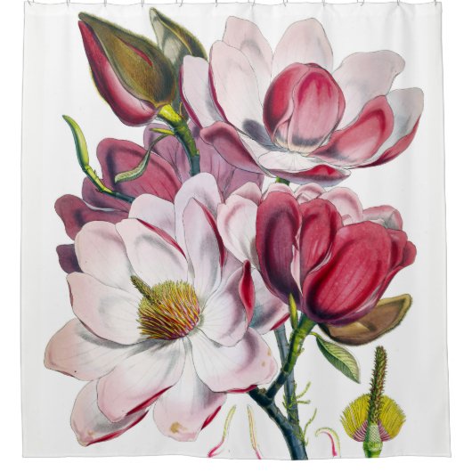 Campbell's Magnolia Shower Curtain Douchegordijn (Voorkant)