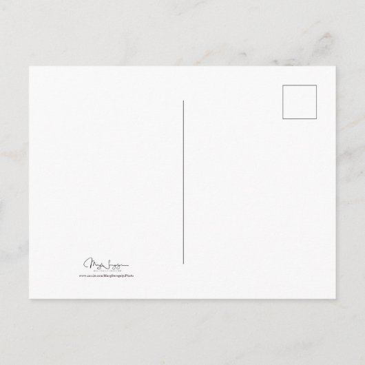 Camper Retro met kerstrood-groene  feestdag Briefkaart (Achterkant)