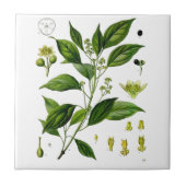 Camphor Tegeltje (Voorkant)