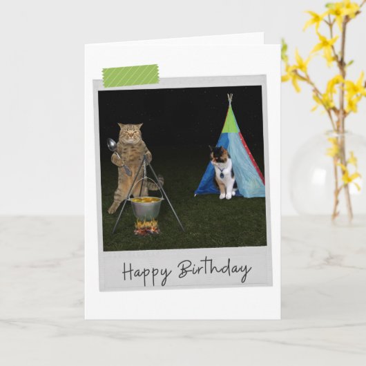 Camping Cats Funny Birthday Card Kaart (Gele Bloem)