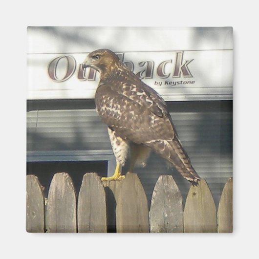 Camping Hawk Magneet (Voorkant)
